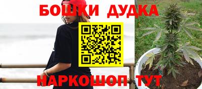 гашик Жуковский