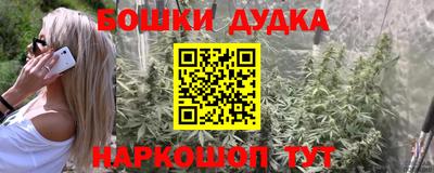 гашик Жуковский