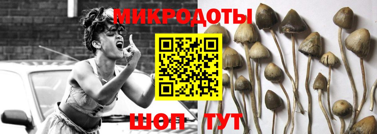 Галлюциногенные грибы GOLDEN TEACHER Зеленокумск