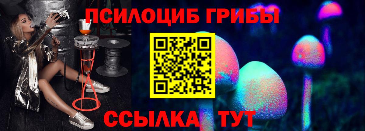 Галлюциногенные грибы Psilocybine cubensis  Псилоцибиновые грибы MAGIC MUSHROOMS  Зеленокумск  Вход с VPN 